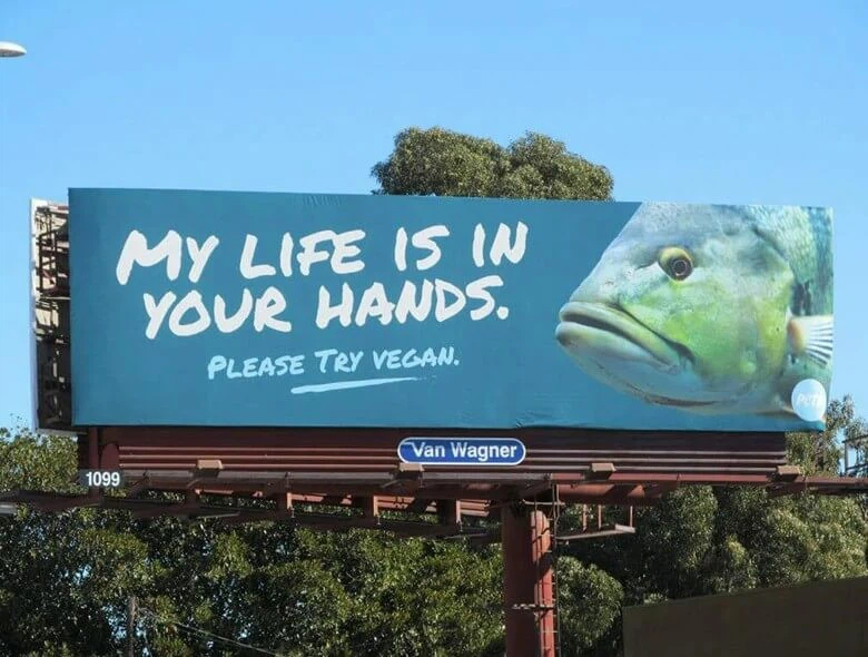565 565